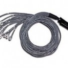 5ft Cat5 25-pair Telco Breakout Cable 180&deg; Telco50 M/12-RJ45