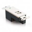 2-Port USB 1.1 Superbooster Wall Plate - Receiver