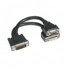 9in One LFH-59 (DMS-59) Male to One DVI-I™ Female and One HD15 VGA Female Cable
