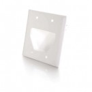 Double Gang Recessed Low Voltage Cable Plate (White)